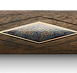 Limited Edition Faber-Castell: Pen of the Year 2010